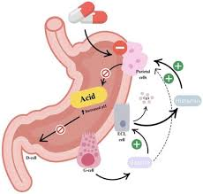 How Does Ayurveda in India View Ranitidine Use for Recurring Acidity?