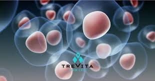 How Stem Cell Therapy Works Within Regenerative Medicine?